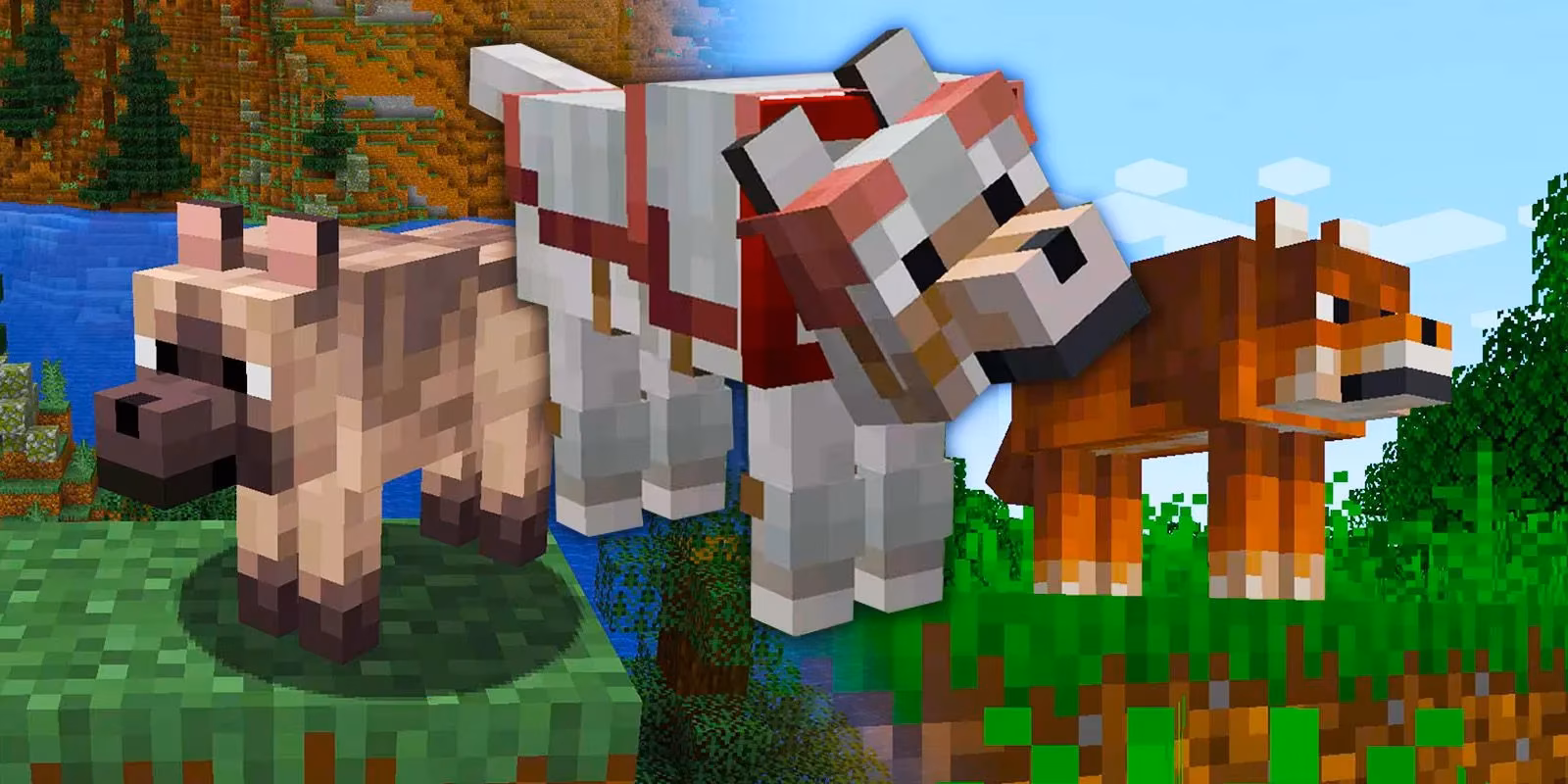 minecraft-all-9-wolf-variants-and-where-to-find-them-image-0