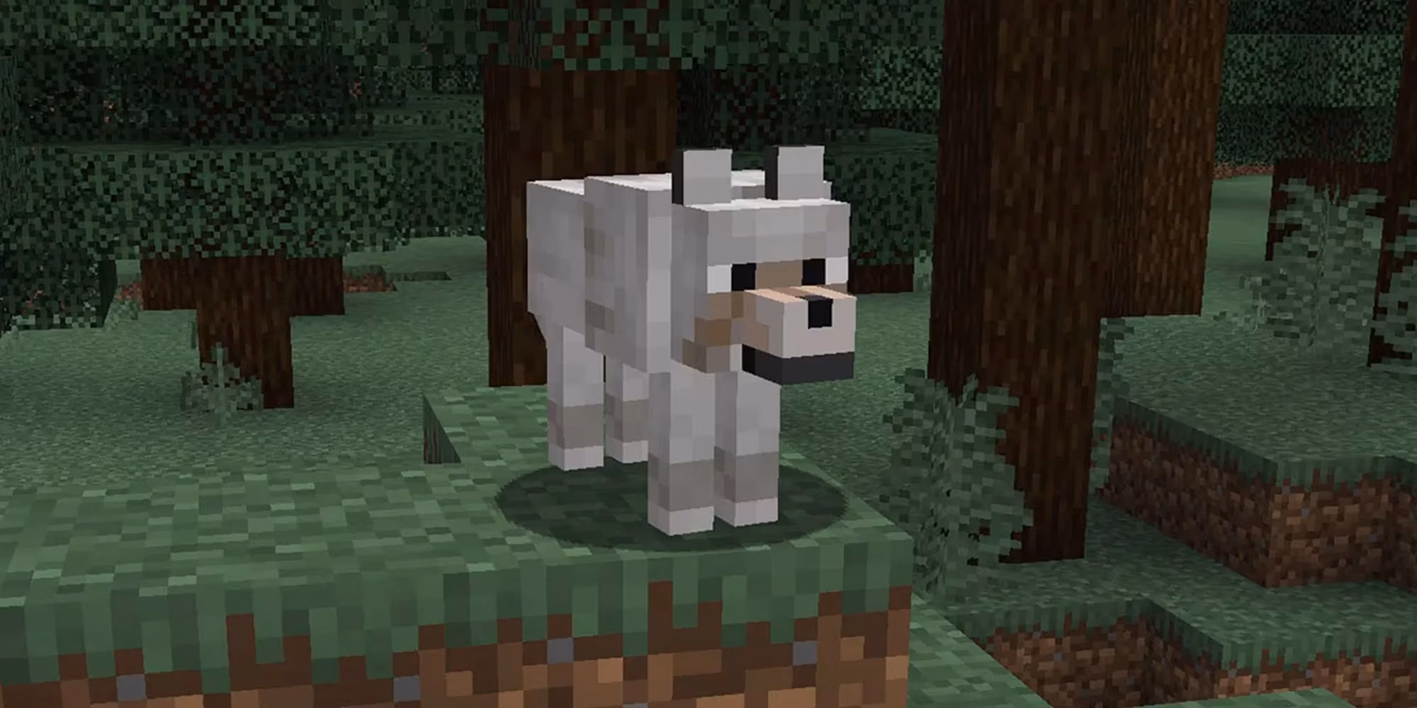 minecraft-all-9-wolf-variants-and-where-to-find-them-image-1