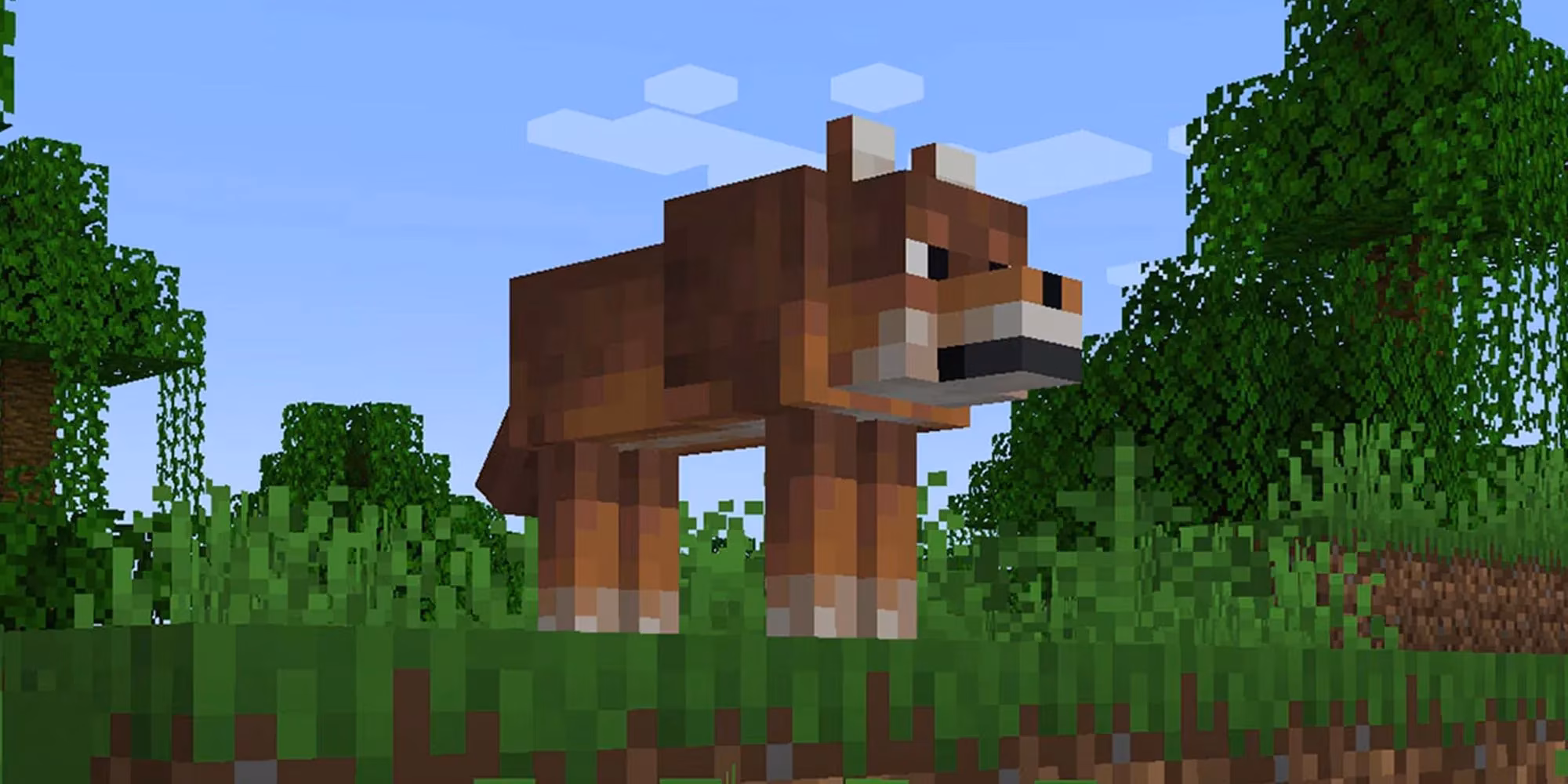 minecraft-all-9-wolf-variants-and-where-to-find-them-image-2