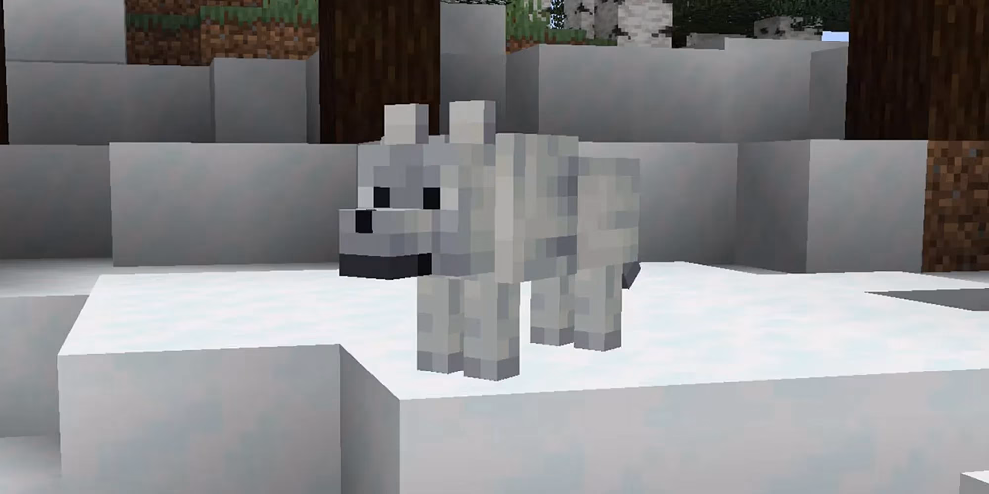 minecraft-all-9-wolf-variants-and-where-to-find-them-image-6