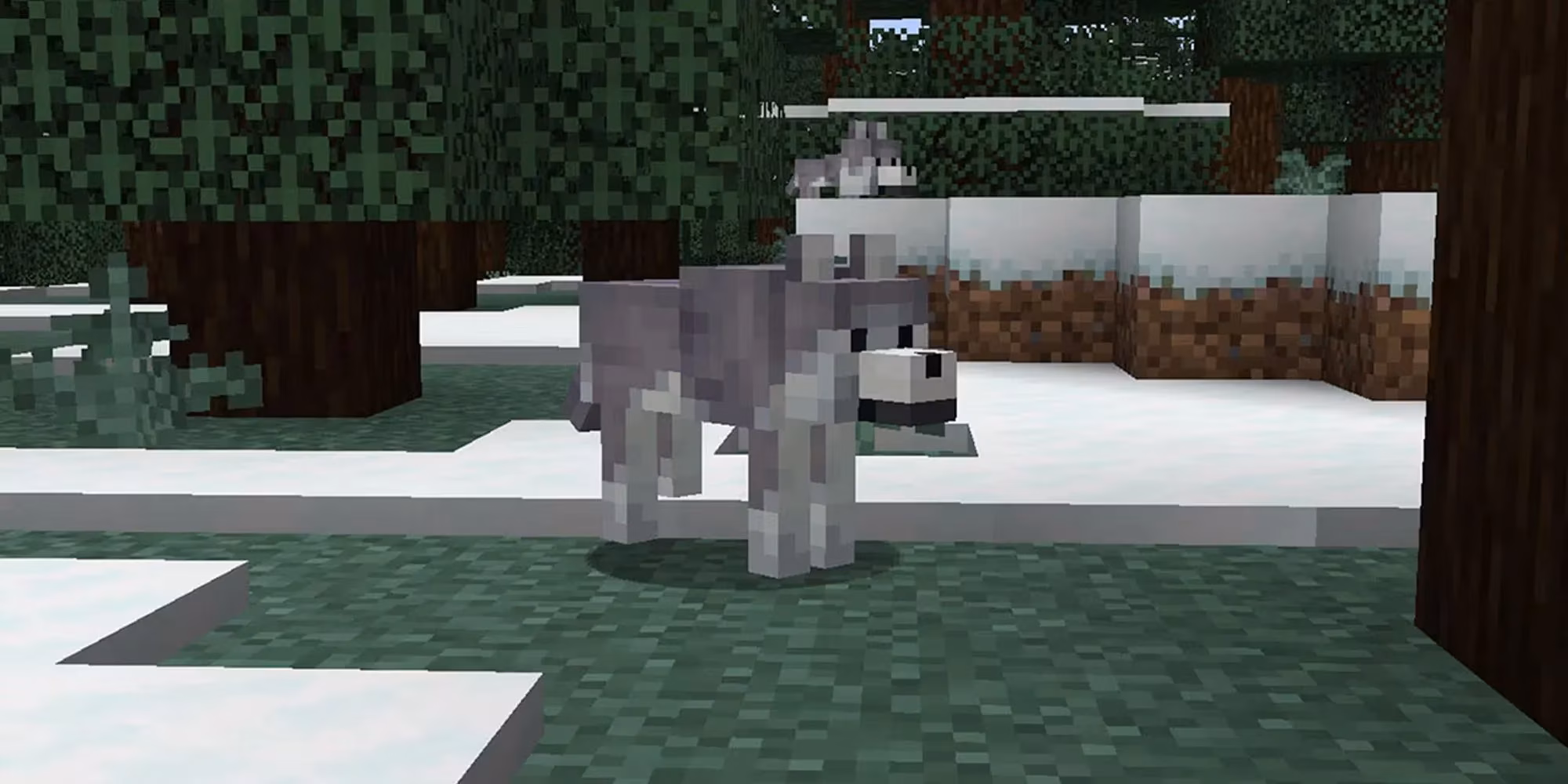 minecraft-all-9-wolf-variants-and-where-to-find-them-image-7