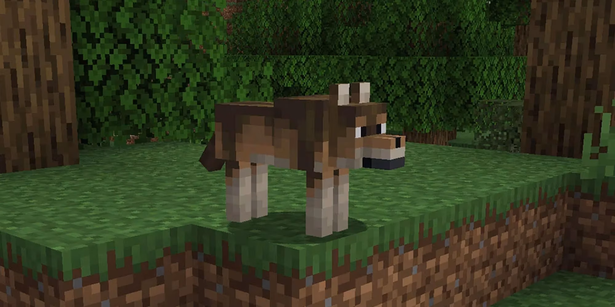 minecraft-all-9-wolf-variants-and-where-to-find-them-image-8