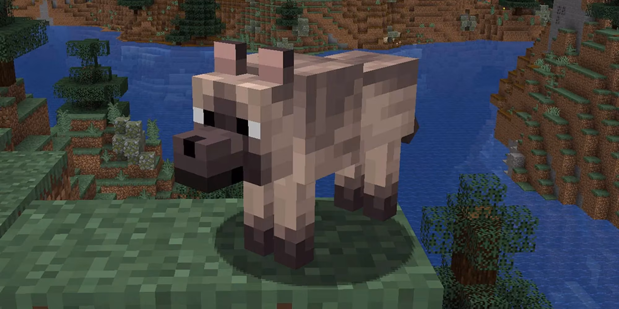 minecraft-all-9-wolf-variants-and-where-to-find-them-image-9