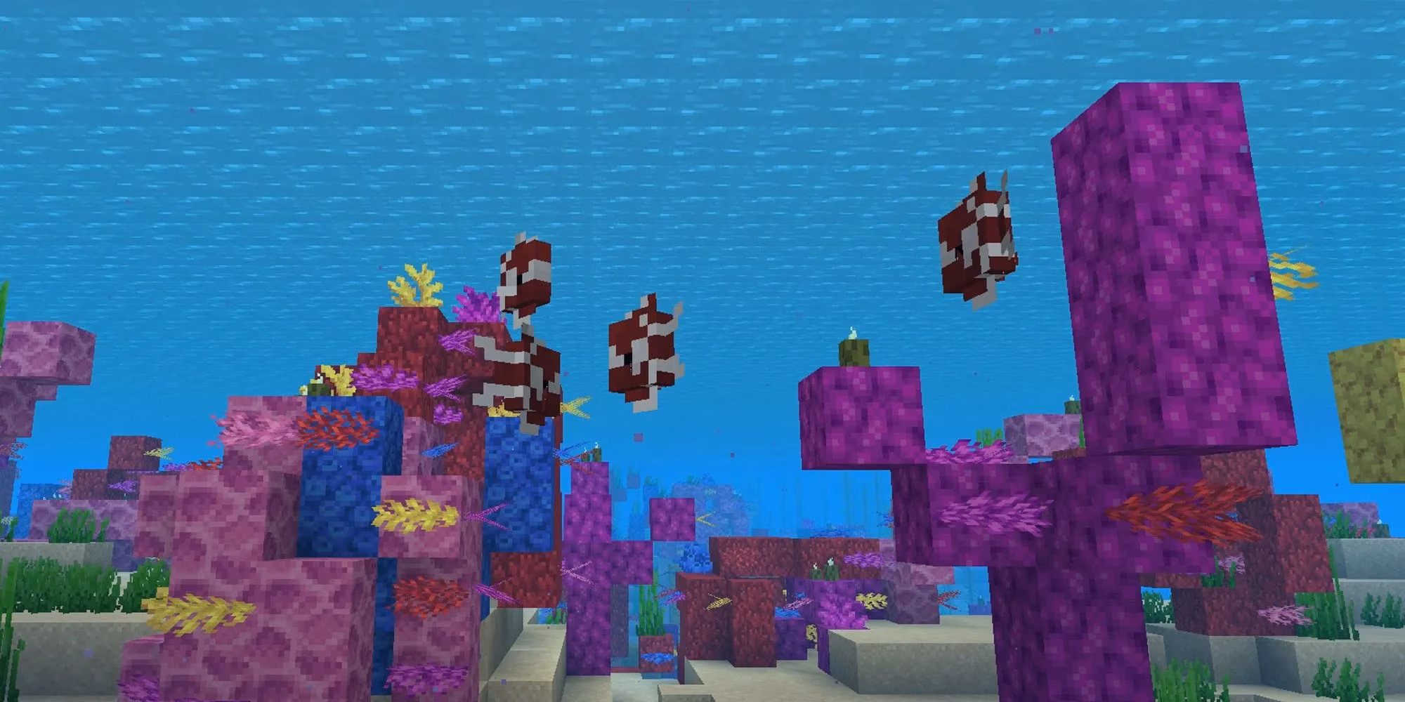 minecraft-coral-reefs-in-2026-warm-oceans-colorful-blocks-and-survival-stories-image-2