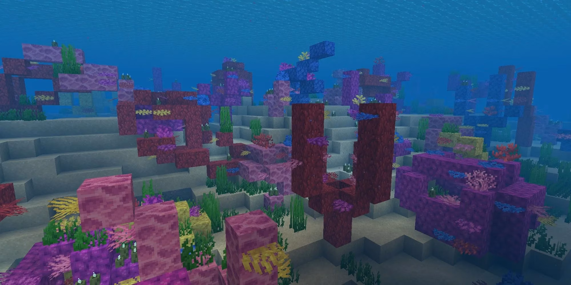 minecraft-coral-reefs-in-2026-warm-oceans-colorful-blocks-and-survival-stories-image-3