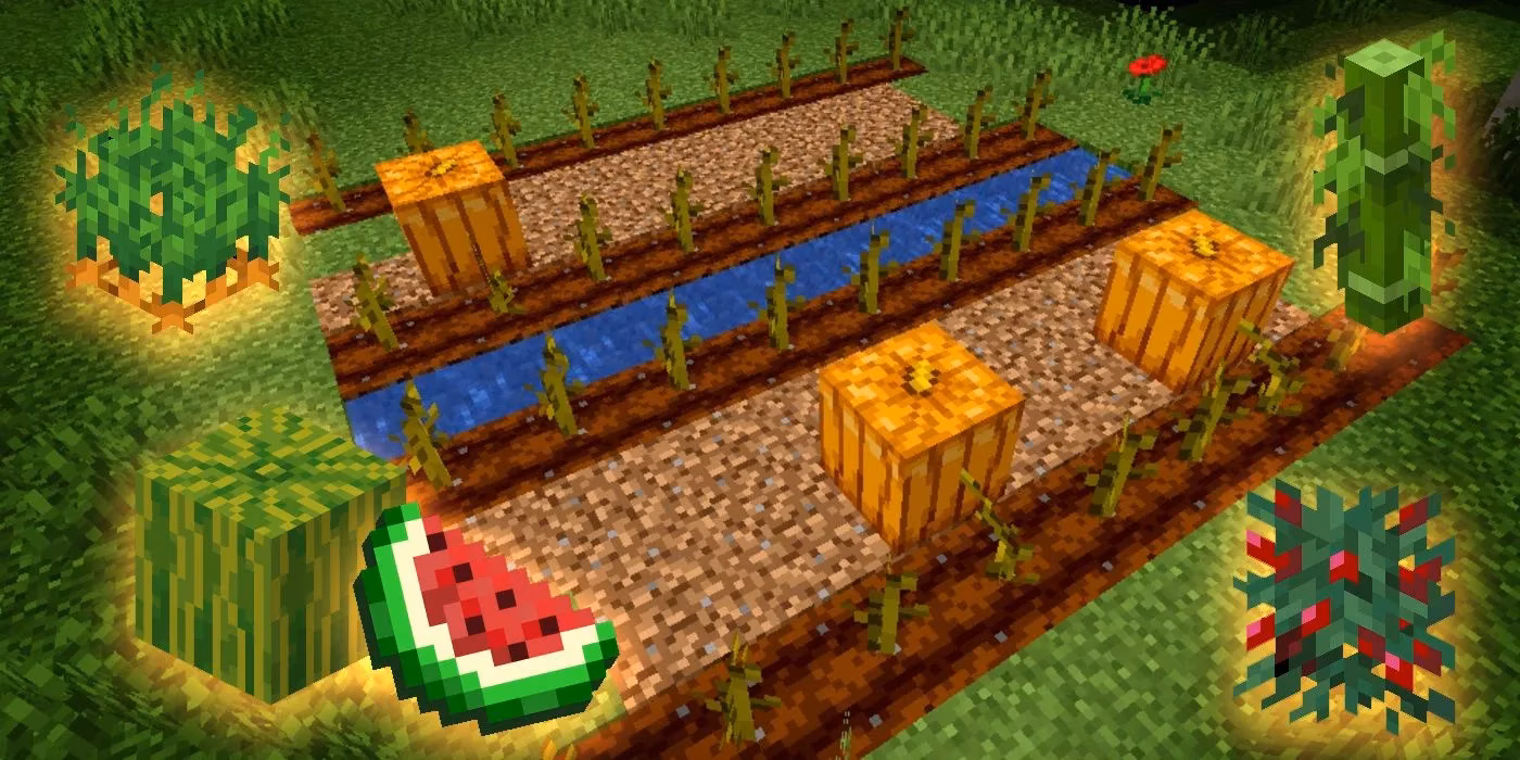 minecraft-farming-in-2026-my-10-favorite-crops-ranked-image-0