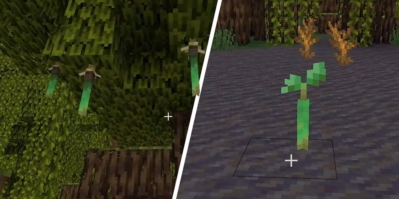 the-ultimate-guide-to-mangrove-propagules-in-minecraft-finding-growing-image-0