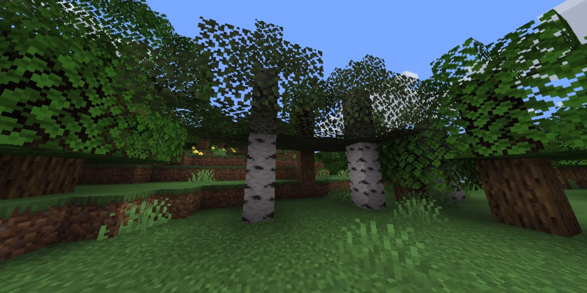 unleash-godlike-fps-the-ultimate-minecraft-optimization-mods-of-2026-image-4